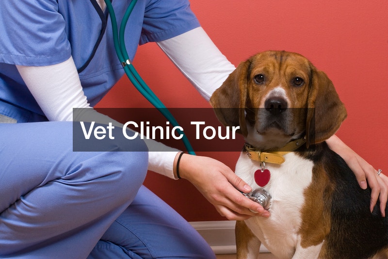 Vet Clinic Tour