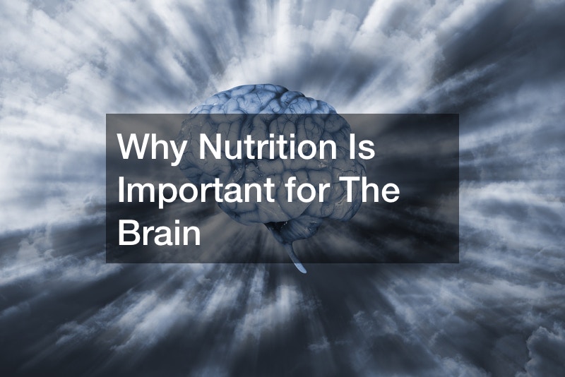 Why Nutrition Is Important for The Brain