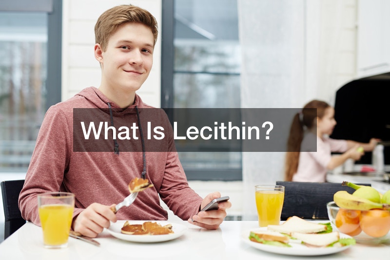 What Is Lecithin?