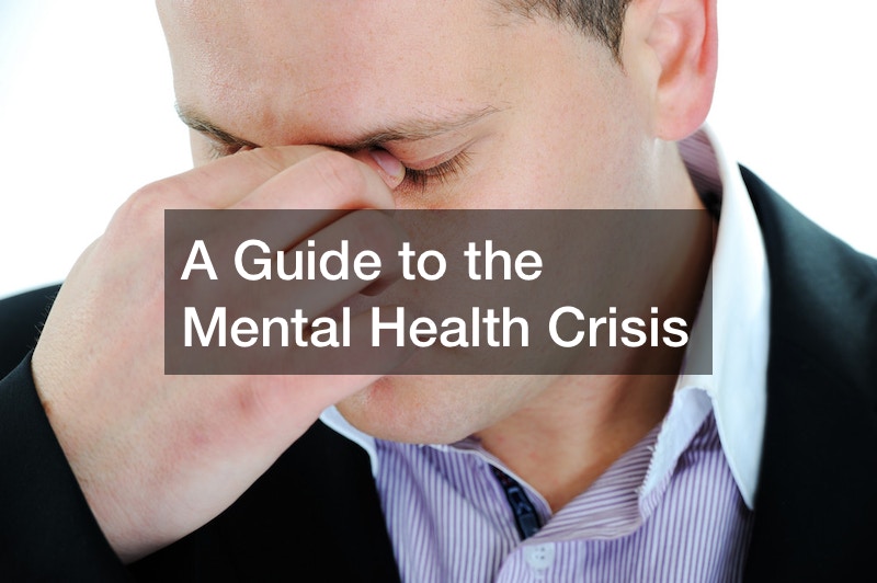 A Guide to the Mental Health Crisis