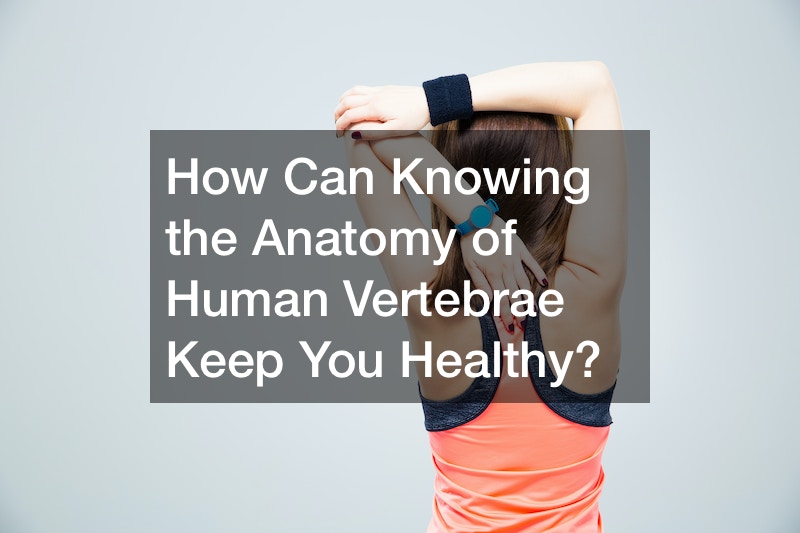 How Can Knowing the Anatomy of Human Vertebrae Keep You Healthy?