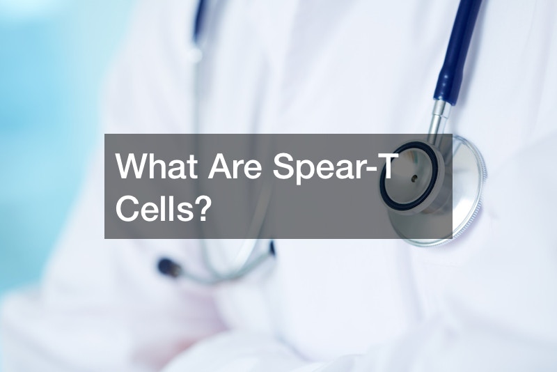 What Are Spear-T Cells?